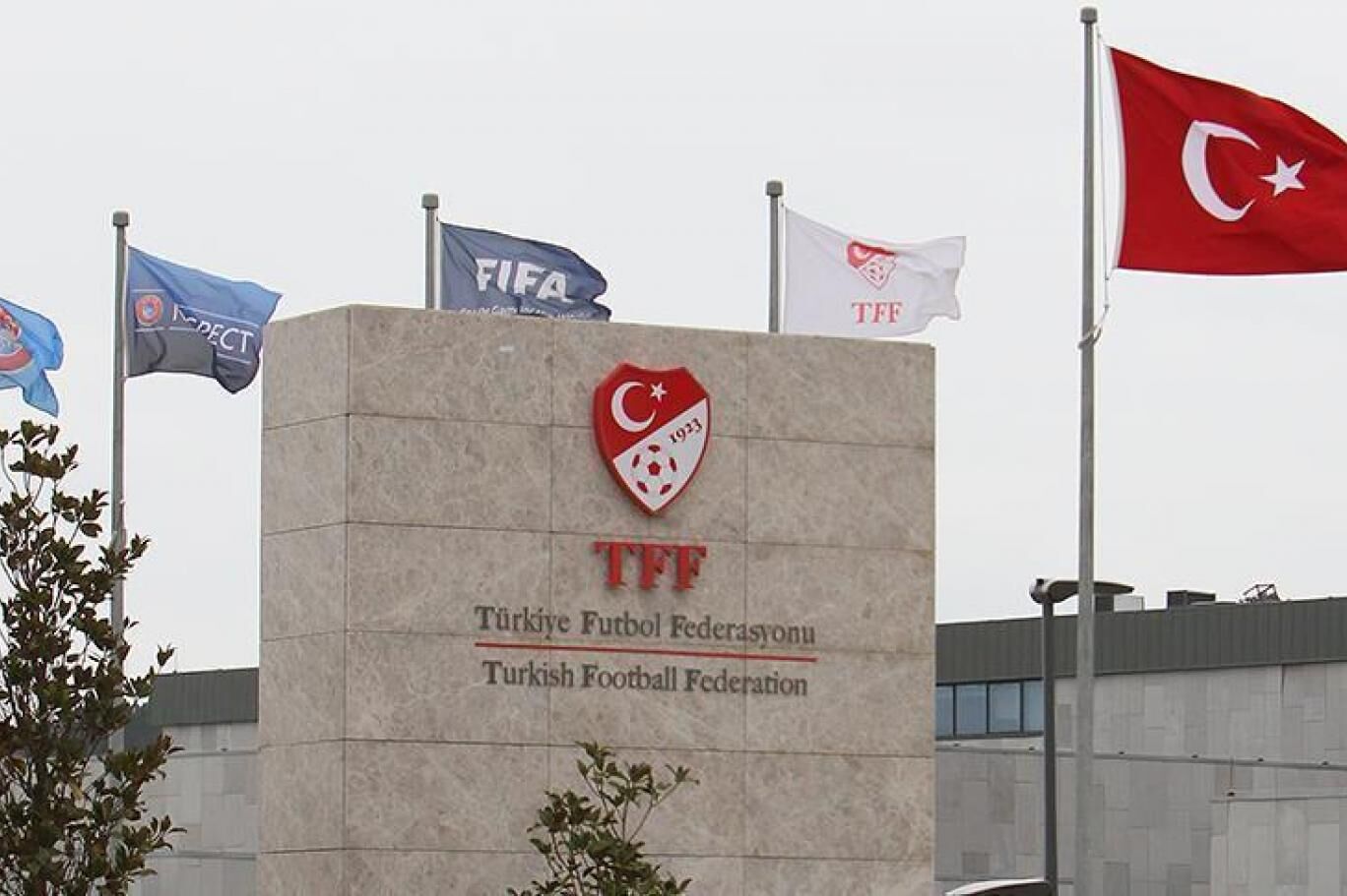 Tff-3