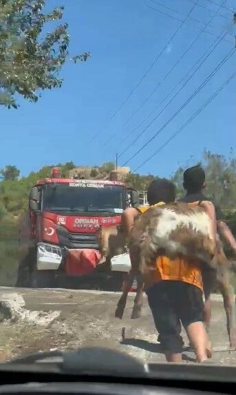 12 Yaşında Iki Kuzen Yaptıklarıyla Antalya Yangınında Örnek Oldular! (4)