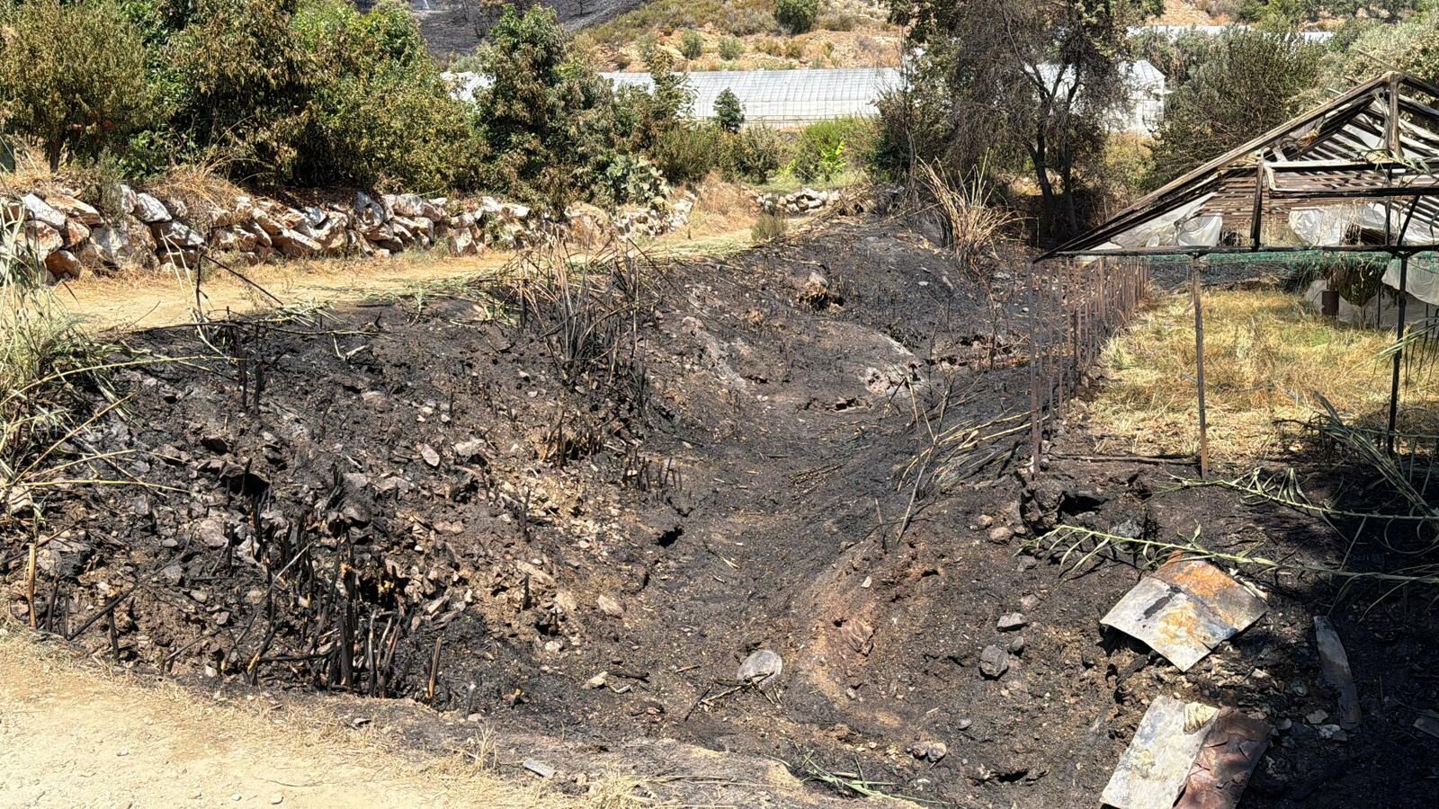Alanya'da Büyük Mücadele! Yangın Sıçramadan Söndürüldü (2)