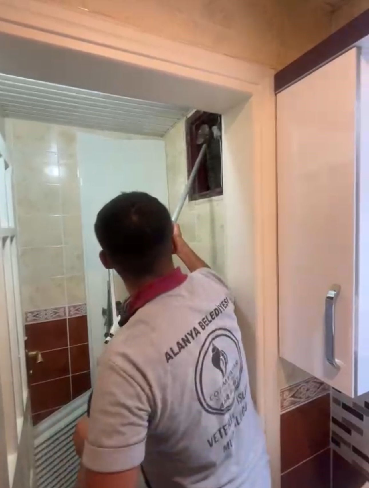 Alanya'da Kedi Için Seferber Oldular (4)