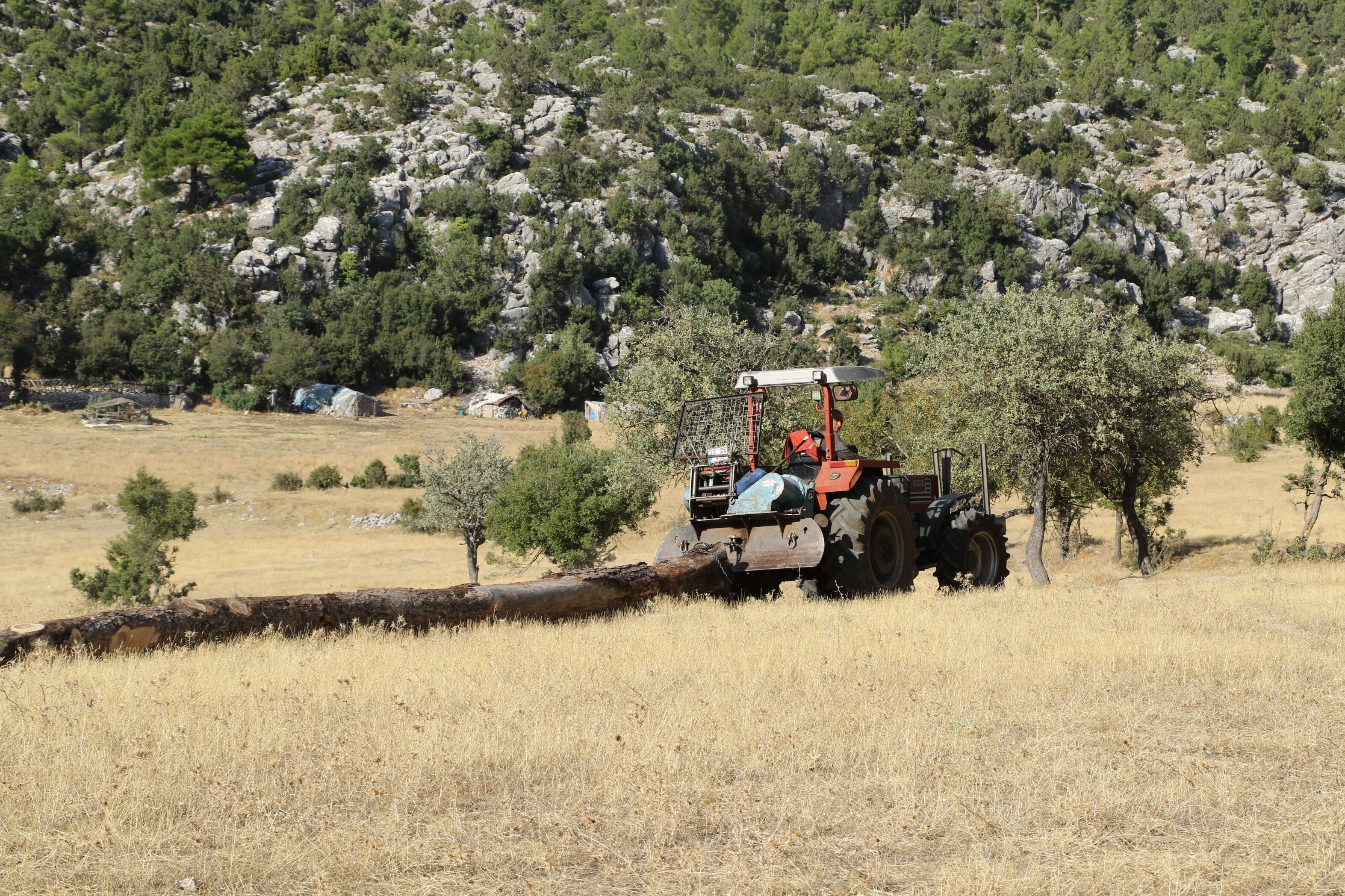 Antalya'da Çadırda Çalıştı, Türkiye 636’Ncısı Oldu (2)