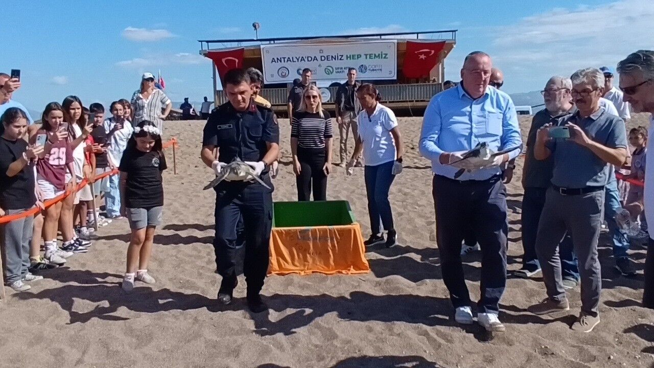 Antalya'da Kaplumbağalar Uyduyla Izlenecek (2)