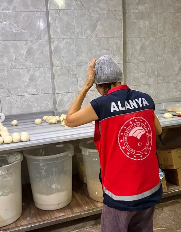 Gıda Denetim (1)