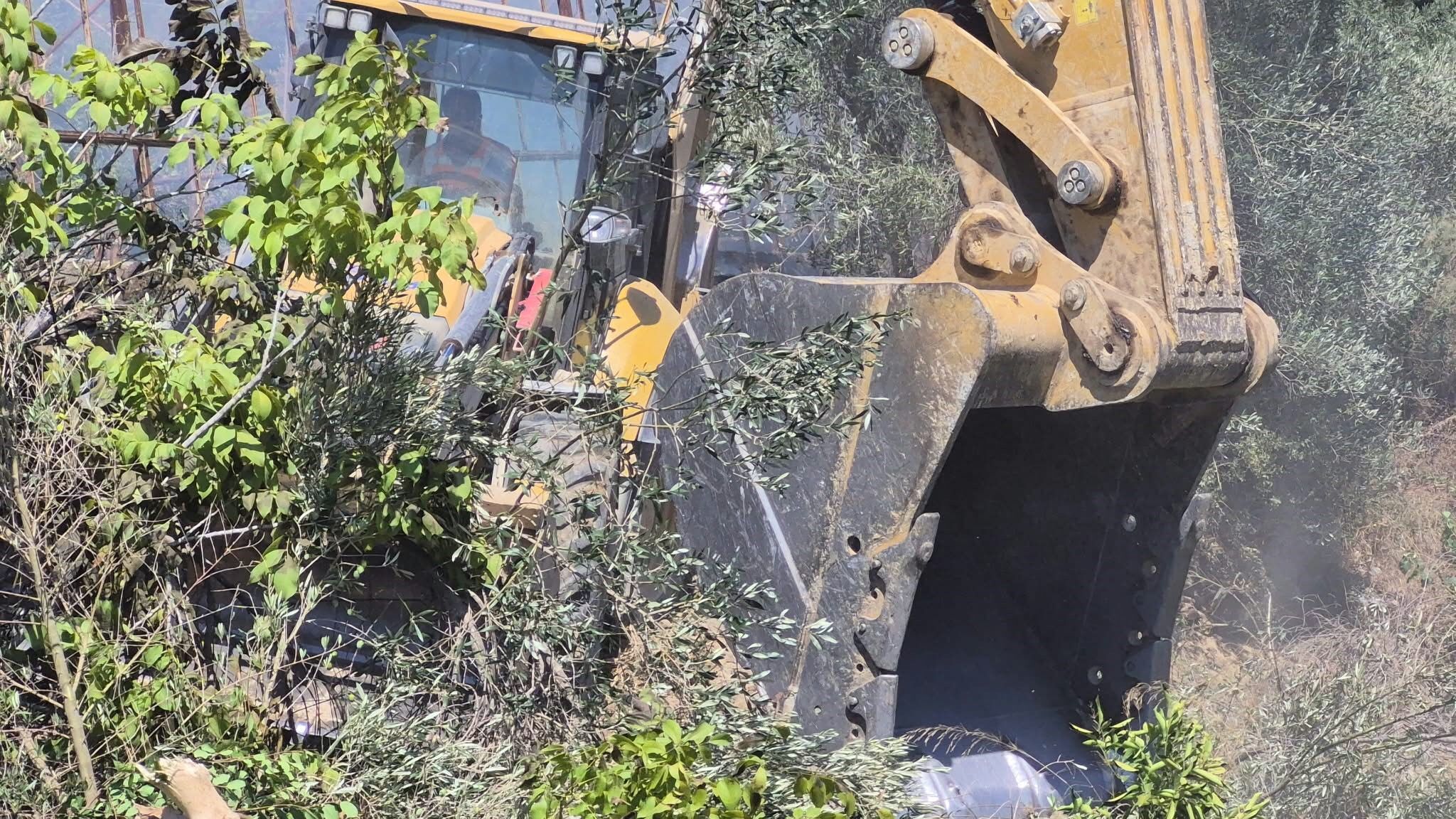 Manavgat’ta Yangın Zeytin Ağaçlarına Sıçradı (1)