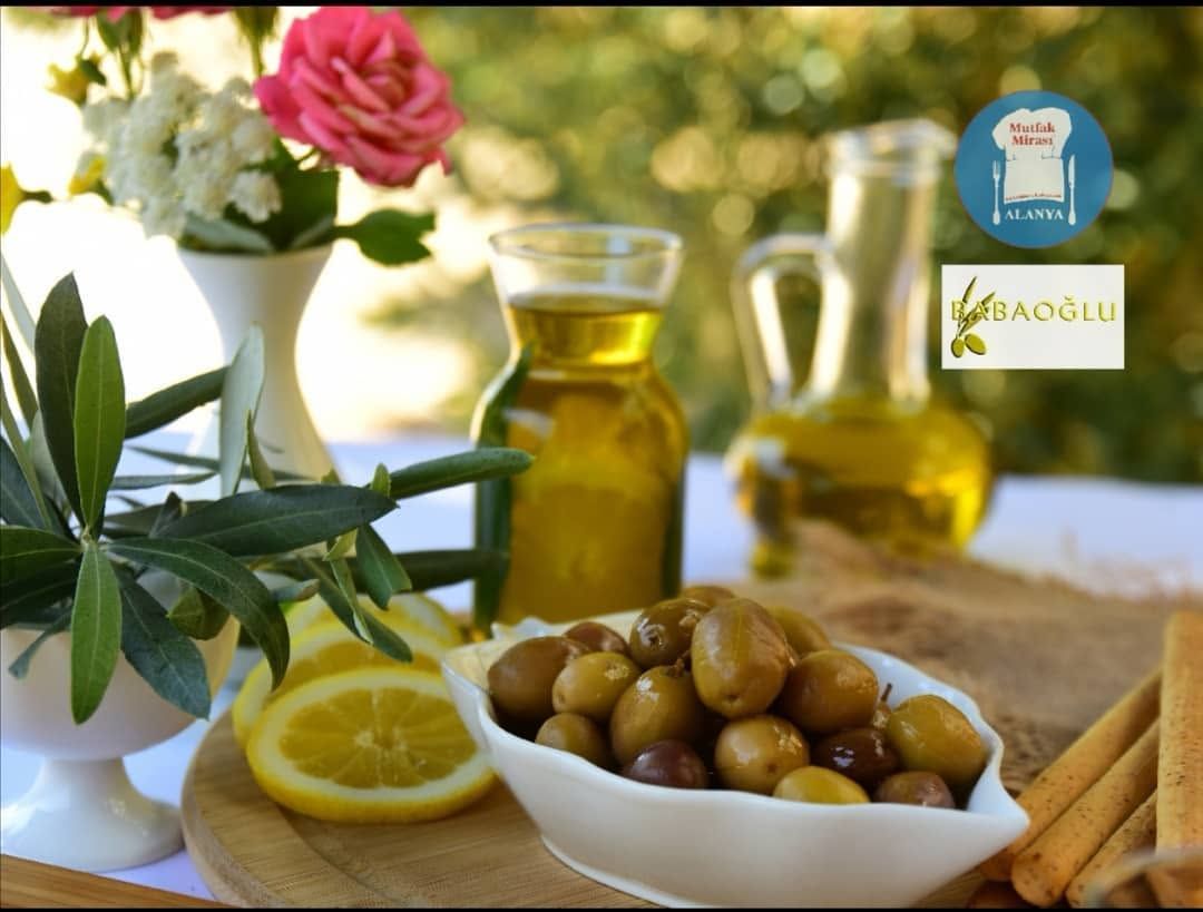Alanya'da Üretici Zeytini Toplamaktan Vazgeçecek! Zeytinyağı Tehlikede (3)