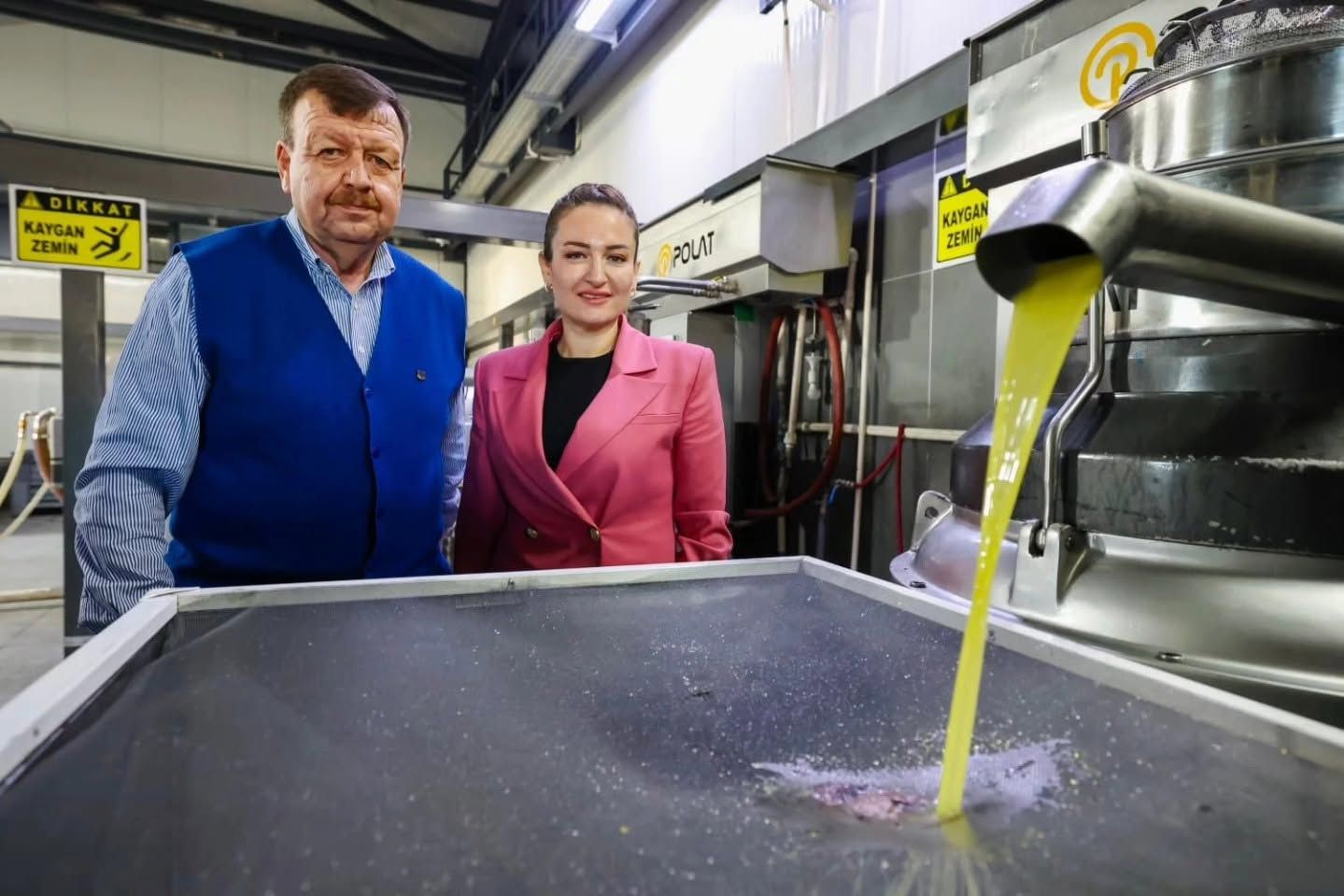 Alanya'da Üretici Zeytini Toplamaktan Vazgeçecek! Zeytinyağı Tehlikede (4)
