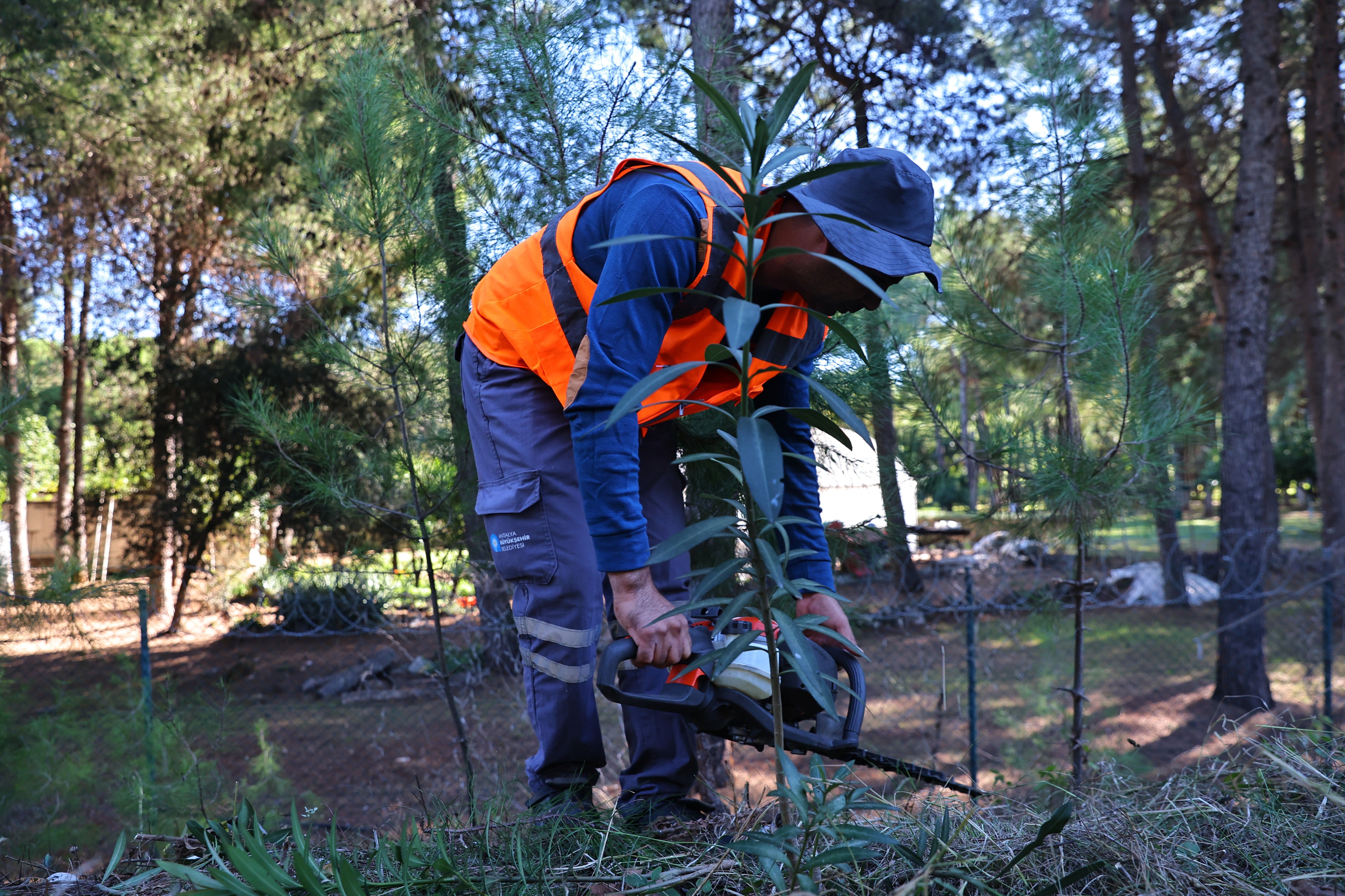 Antalya Cop31 Için Seferber Oldu (2)