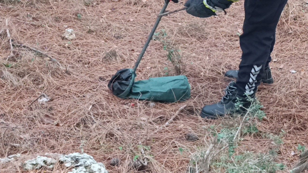 Antalya'da 2 Metrelik Yılan Paniği (1)