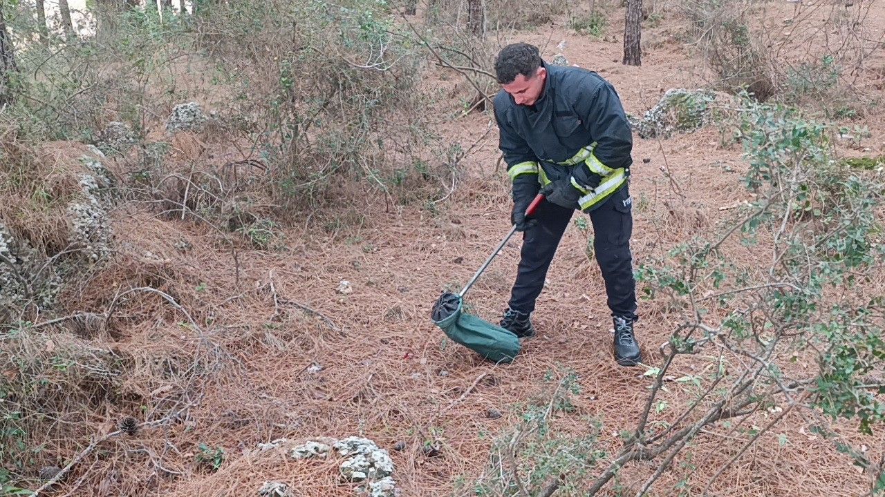 Antalya'da 2 Metrelik Yılan Paniği (3)