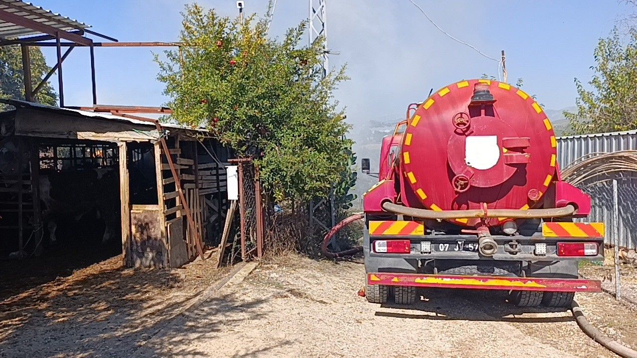 Antalya'da Ahır Yangını 5 Hayvan Telef Oldu (1)