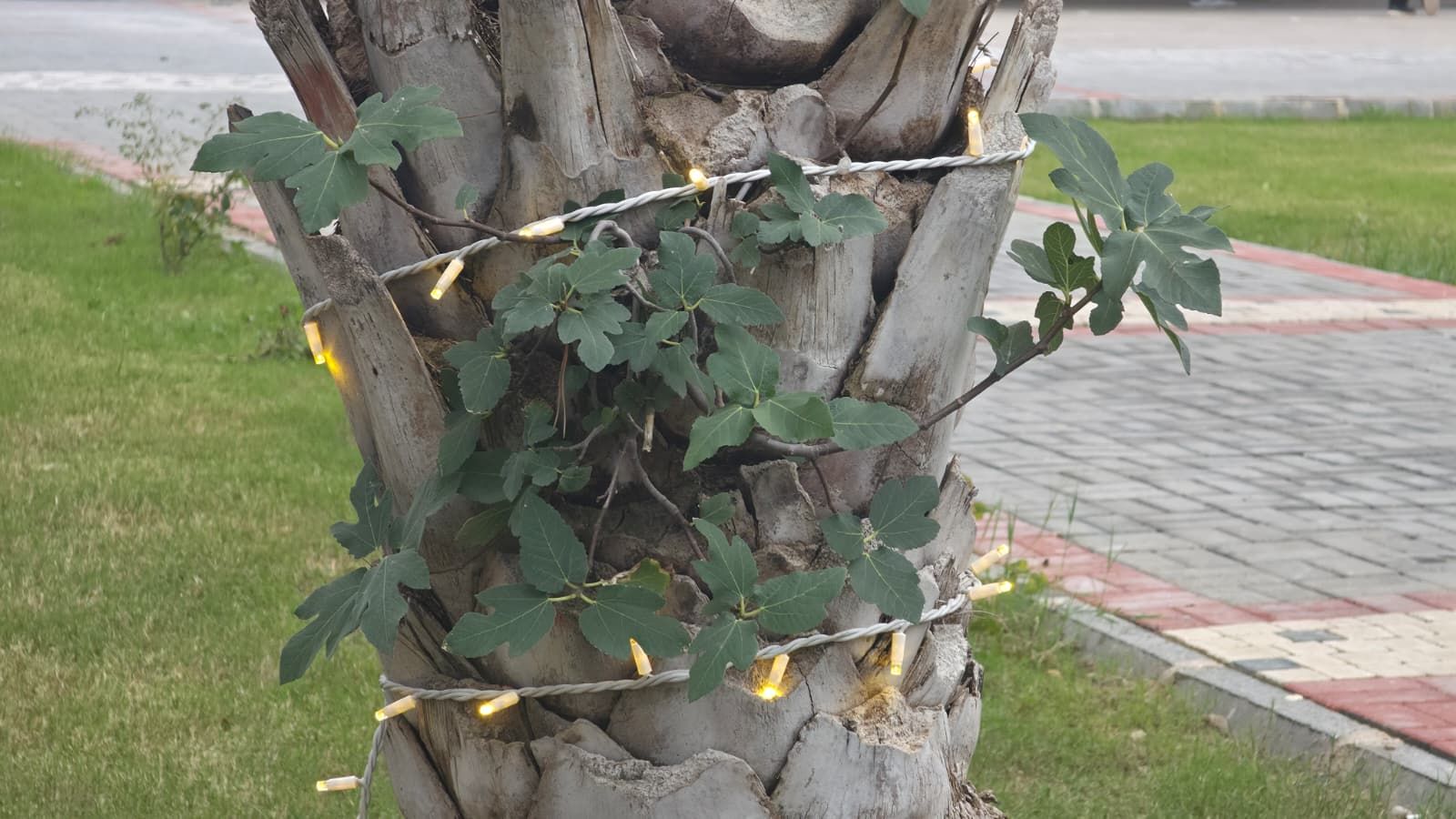Çevre