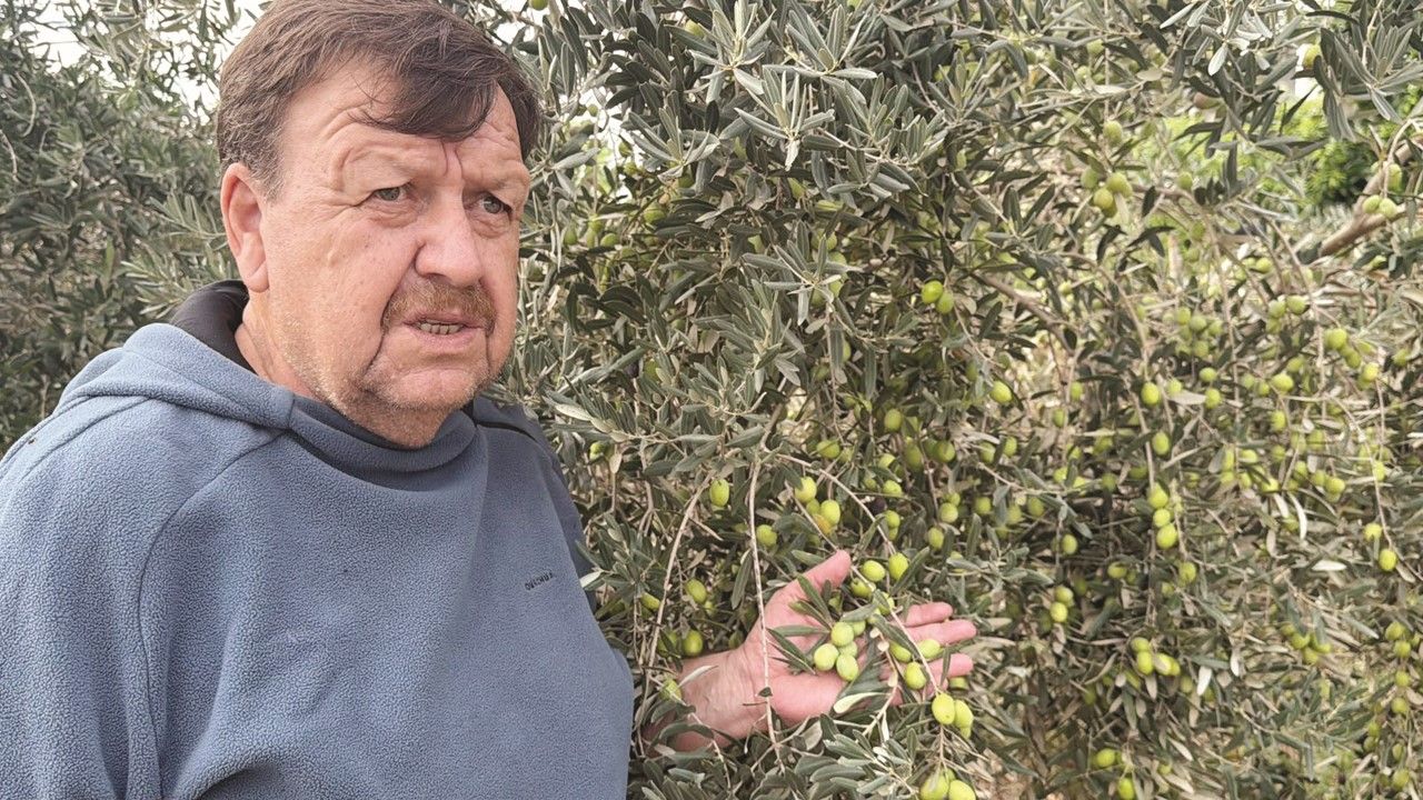 Tavşan Yüreği Cop31'De Dünya Liderlerine Hediye Edilecek (4)
