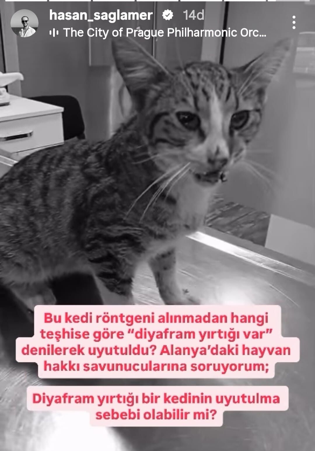 Whatsapp Image 2026 10 04 At 08.45.34