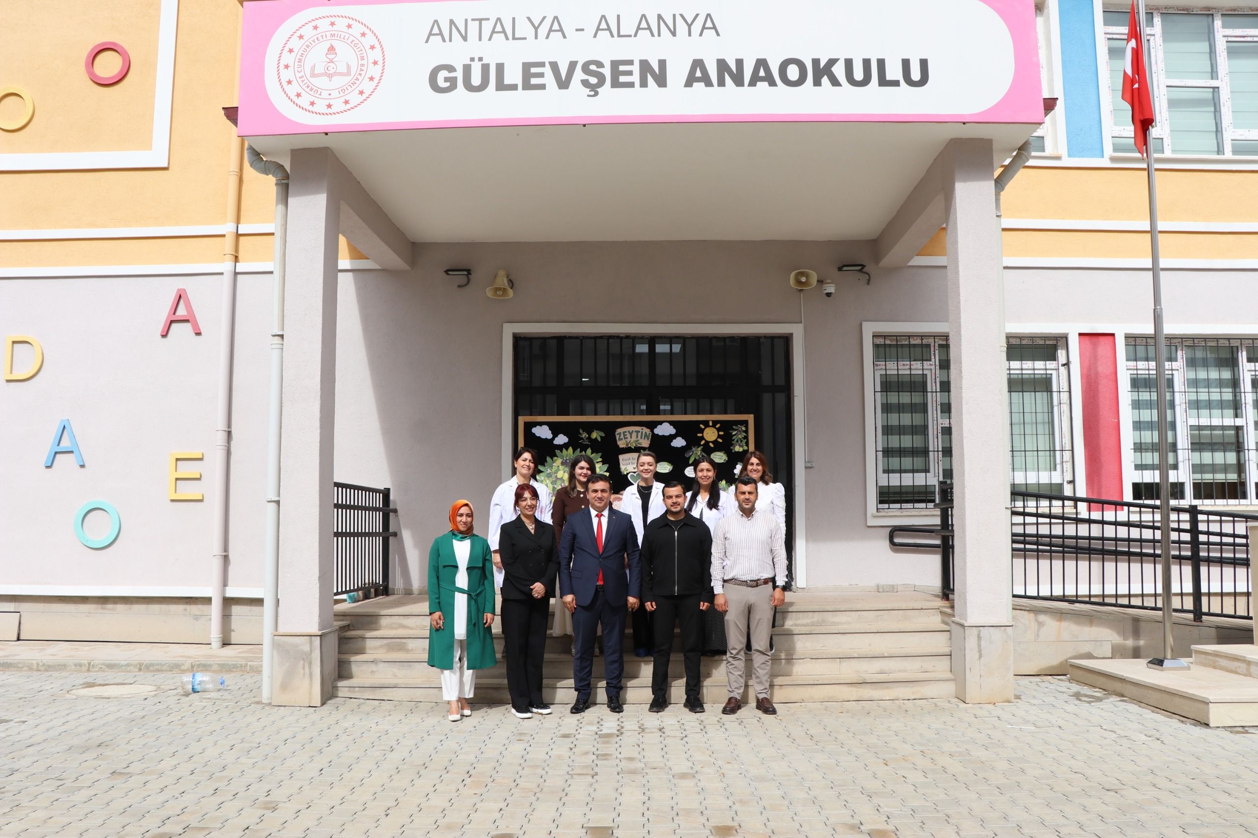 zeytin fidanları