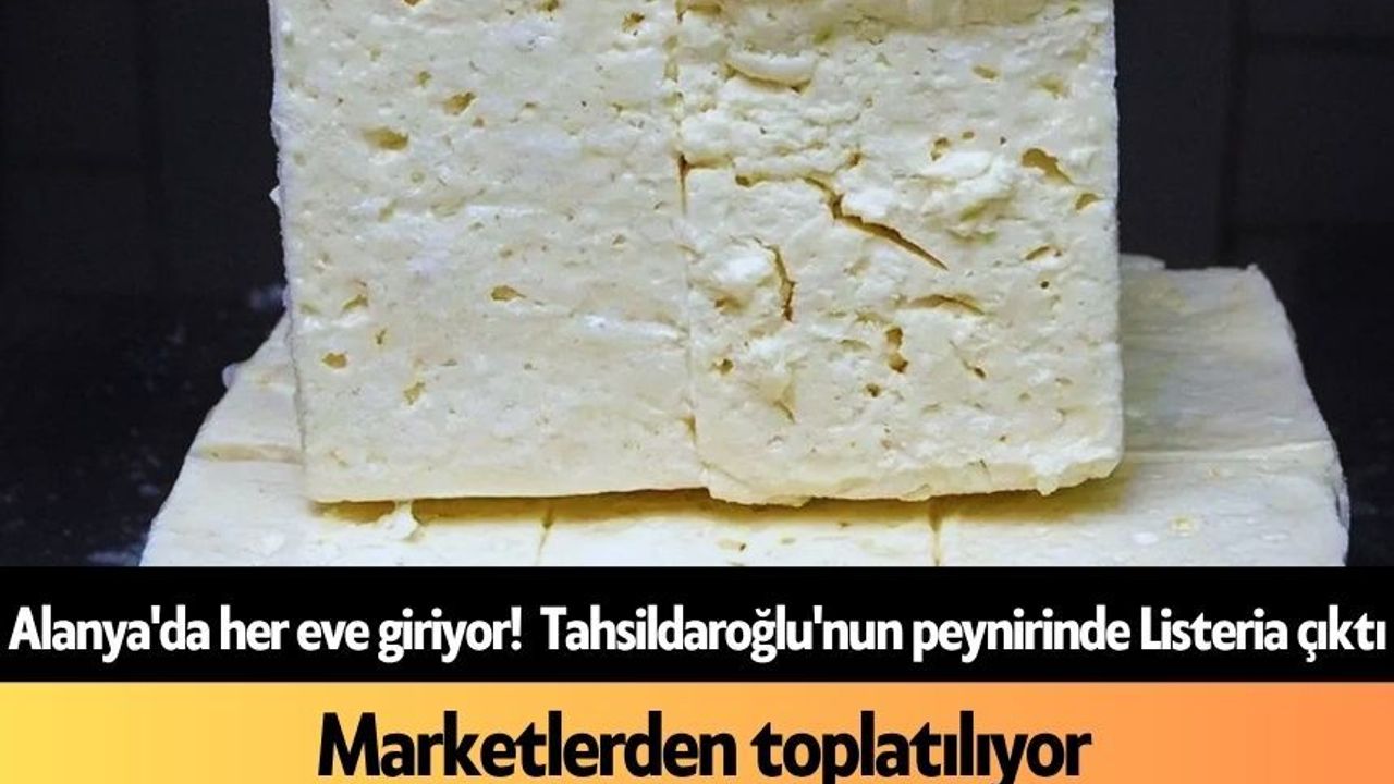 Alanya'da her eve giriyor! Tahsildaroğlu'nun peynirinde Listeria çıktı, marketlerden toplatılıyor