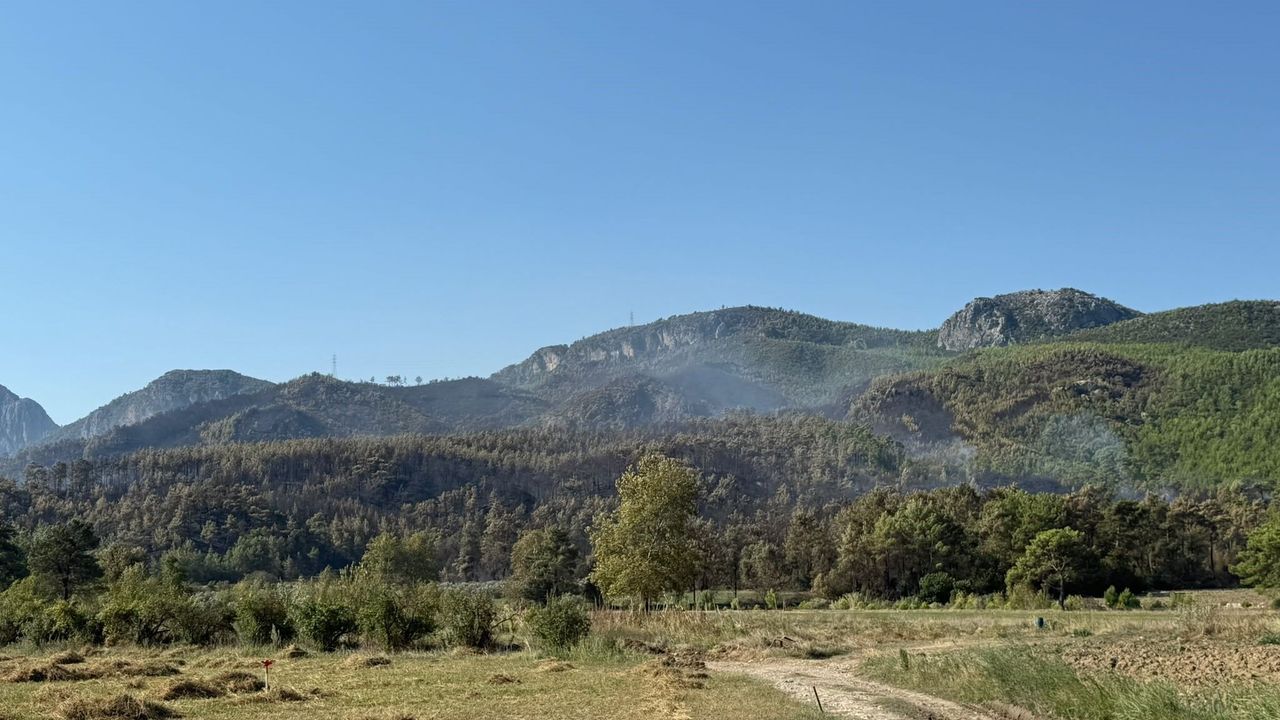Serik'teki Yangın Kontrol Altında