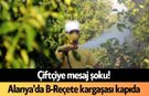 Çiftçiye mesaj şoku! Alanya'da B-Reçete kargaşası kapıda