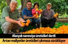 Alanya'da narenciye üreticisi zor günlerden geçiyor