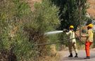 Alanya'da yangın paniği! Ekiplerden anında müdahale