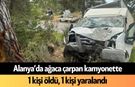 Alanya’da ağaca çarpan kamyonette 1 kişi öldü, 1 kişi yaralandı