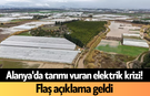 Alanya'da tarımı vuran elektrik krizi! Flaş açıklama geldi
