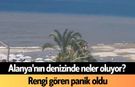 Alanya'nın denizinde neler oluyor?