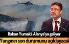 Bakan Yumaklı Alanya'ya geliyor: Yangının son durumunu açıklayacak