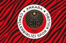 Gençlerbirliği'nde Ayrılık Açıklandı