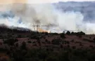 Son dakika l Kocaeli Gebze'de orman yangını çıktı