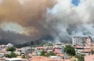 Son dakika l Edremit'te yangın kontrol altında