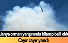 Alanya orman yangınında bilanço belli oldu! Cayır cayır yandı