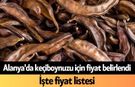 Alanya'da keçiboynuzu için fiyat belirlendi