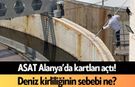 ASAT Alanya’da kartları açtı! Deniz kirliliğinin sebebi ne?