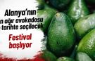 Alanya'nın en ağır avokadosu o tarihte seçilecek: Festival başlıyor