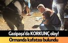 Gazipaşa'da KORKUNÇ olay! Ormanda kafatası bulundu