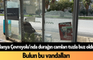 Alanya Çevreyolu’nda durağın camları tuzla buz oldu! Bulun bu vandalları