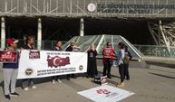 Antalya’da Nekropol Müzesinde kuş krizi