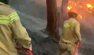 Antalya'da orman yangını! Ekiplerden tam teyakkuz