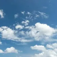 Yaşam