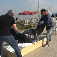 Asayiş