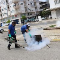 Alanya