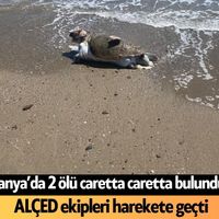 Alanya