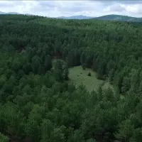 Gündem