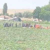 Asayiş