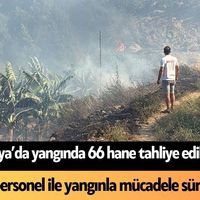 Yaşam