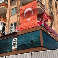 Siyaset