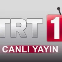 Spor