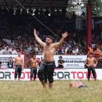 Spor