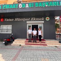 Alanya