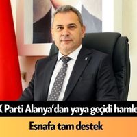 Siyaset